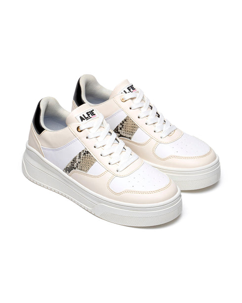Tenis Latte Tira Víbora 7281A